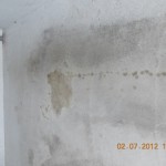 Ölfleckenbeseitigung Garage