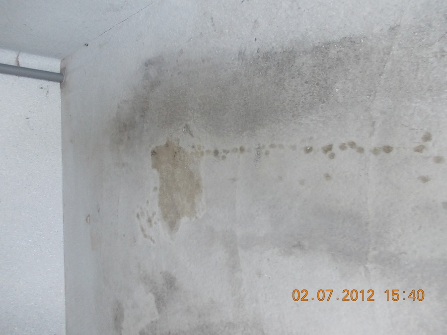 Ölfleckenbeseitigung Garage