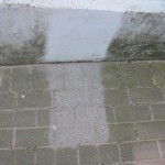 angelegte Probefläche