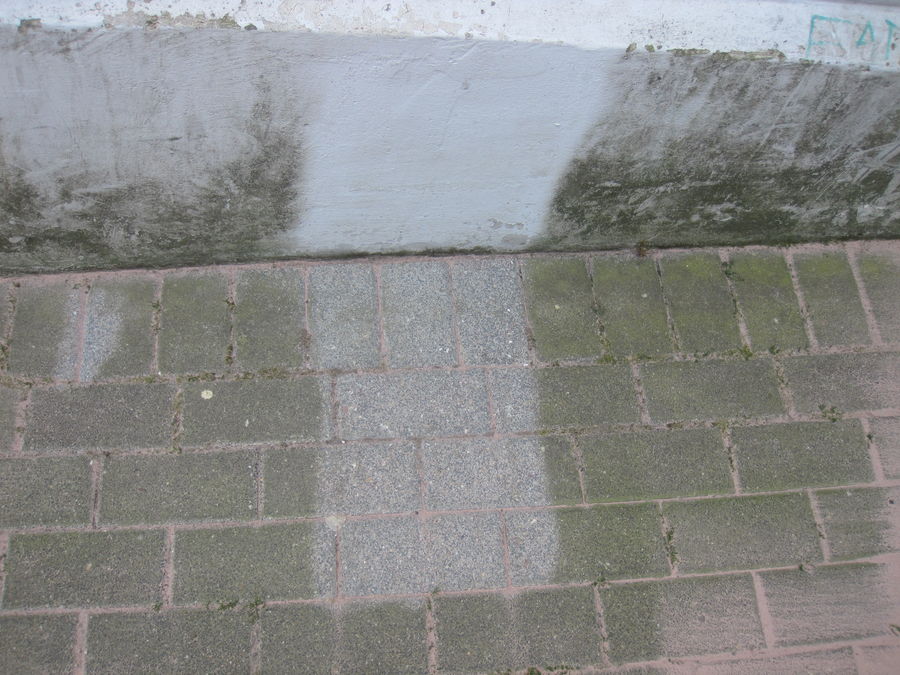 angelegte Probefläche